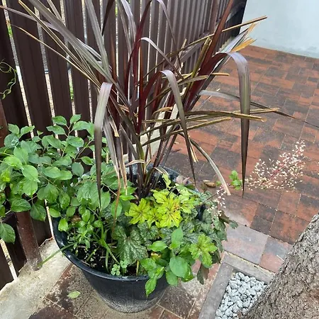 Siodemka Stary Wegliniec