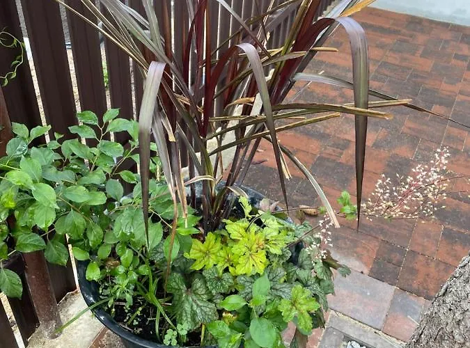 Siodemka Stary Wegliniec